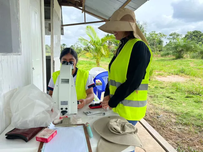 Arapaima Aquaculture, How Farming Paiche Protects the Wild