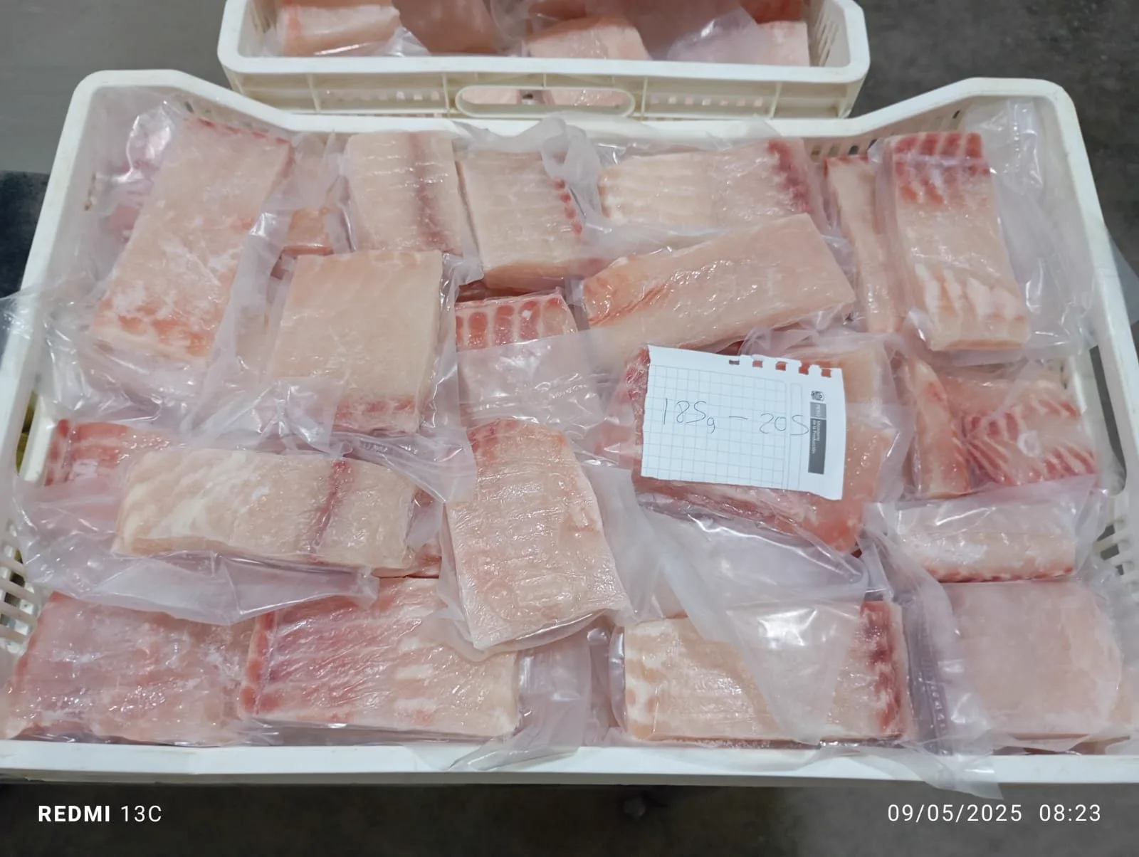 Paiche fillet