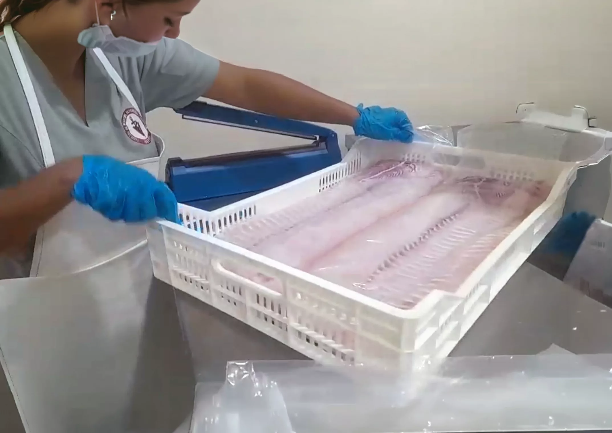 Frozen fillet (IQF)